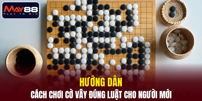 Hướng dẫn cách chơi cờ vây đúng luật cho người mới Hướng dẫn cách chơi cờ vây đúng luật cho người mới