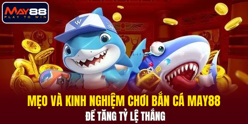 Mẹo và kinh nghiệm chơi bắn cá MAY88 để tăng tỷ lệ thắng Mẹo và kinh nghiệm chơi bắn cá MAY88 để tăng tỷ lệ thắng