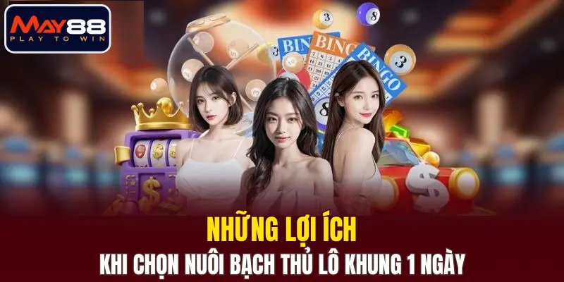 Những lợi ích khi chọn nuôi bạch thủ lô khung 1 ngày Những lợi ích khi chọn nuôi bạch thủ lô khung 1 ngày